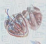 BioSignature pour le cœur